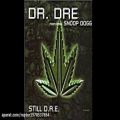 عکس اهنگ محبوب Dr.Dre از Snoop Dogg _ Still Dre