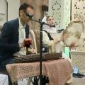 عکس اجرای موسیقی زنده گروه موزیک سنتی ۰۹۱۹۳۹۰۱۹۳۳ عبدالله پور