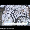 عکس موسیقی تصویر خیلی زیبای برف خواننده بابک جهانبخش
