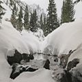 عکس فیلم آرامش بخش از طبیعت زمستانی - Ultra HD