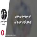 عکس آهنگ بسیار زیبای ایران من ؛ همایون شجریان ؛ علیرضا قربانی ؛ ساز ؛ نوازندگی