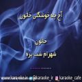 عکس کارائوکه خاتون شهرام شب پره