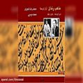 عکس مذهب رندان - اجرای خصوصی محمدرضا شجریان و محمد موسوی