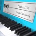 عکس بررسی وی اس تی پیانو الکتریک Sampleson Reed200