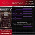 عکس 01.Chris-Hein-Strings-Compact-Overview