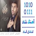 عکس اهنگ سینا پورمحسن به نام یاس کبود - کانال گاد