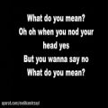 عکس Justin Bieber - What Do You Mean lyrics