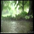 عکس Violin , ویولن ، باران ، rain