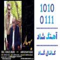 عکس اهنگ ایرج خواجه امیری و امیر احسان فدایی به نام بهار - کانال گاد