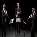 عکس Beethoven Oboe trio