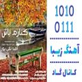 عکس اهنگ امید تقی پور به نام کنارم باش - کانال گاد