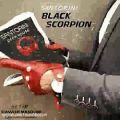 عکس آهنگ Black Scorpion - سنتورینی