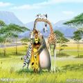عکس موسیقی انیمیشن زیبا ماداگاسکار