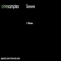 عکس 03 - CineBrass Sonore Visual Manual and Pro Tips