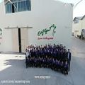 عکس تیزر تلویزیونی شرکت آسیا چمن، اولین تولید کننده چمن مصنوعی در ایران