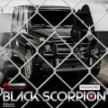 عکس دانلود آهنگ Black Scorpion بنام پسورد