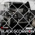 عکس دانلود آهنگ Black Scorpion پسورد