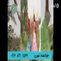 عکس آهنگی در وصف سردار زنان ایران زمین