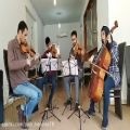 عکس hyden string quartet in d major