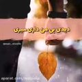 عکس موزیک کلیپ عاشقانه د غمگین (86)