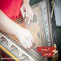 عکس تیدا/سی و پنجمین جشنواره موسیقی فجر