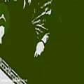 عکس نماهنگ زیبای بهار میهن -بمناسبت 22بهمن و انقلاب اسلامی ایران.mp4