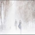 عکس کولاک ، موسیقی برای توفان برف الکساندرپوشکین