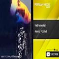 عکس Hamid Fooladi - Instrumental ( حمید فولادی - بی کلام )
