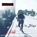 عکس مهراب- انفرادی