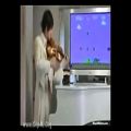 عکس اجرای موسیقی بازی قارچ خور با ویولن