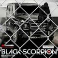 عکس آهنگ Black Scorpion - پسورد