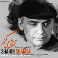 عکس اهنگ شاهین شمسا به نام تمومش میکنم - کانال تاپ