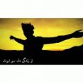 عکس آهنگ افغانی-هرکسی عاشقه