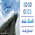 عکس اهنگ عفونی رکورد به نام باد - کانال گاد