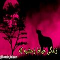 عکس حسین کلام