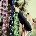 عکس کلیپ بسیار زیبای هوای عید با اجرای کسری و امیرکهبد کاویانی ویژه عید نوروز