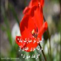 عکس کلیپ شادباش نوروز - تایم لپس گلها با ترانه بوی عیدی فرهاد 4