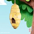 عکس کارتون آموزش زبان کودکان Caities Classroom - Here Is The Beehive featuring