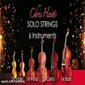 عکس معرفی وی اس تی ویولن و سازهای زهی Chris Hein Solo Strings v2 EXtended