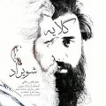 عکس آهنگ شویراد - گلایه