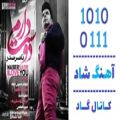 عکس اهنگ ناصر صدر به نام دوست دارم - کانال گاد