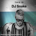 عکس اهنگ propaganda از dj snake
