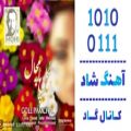 عکس اهنگ محی به نام گل پامچال - کانال گاد