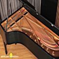 عکس پیانو Steinway Concert Grand Piano