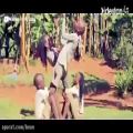 عکس رقص کودکان آفریقایی با ترانه انگلیسی