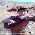 عکس ‫نوازندگی و آواز زیبای این کودک آذری‬
