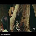 عکس موزیک ویدئو دخت شیرازی از امید حاجیلی