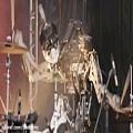 عکس اجرای موسیقی Nirvana توسط روبات های موزیسین