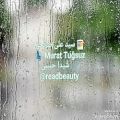 عکس ظهور بی باور باران،سید علی صالحی، خوانش شیدا حبیبی