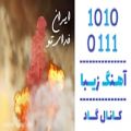 عکس اهنگ مجید الوند و سهیل صداقت به نام ایران فدای تو - کانال گاد